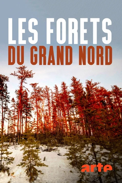 Постер: Die Wälder des Nordens