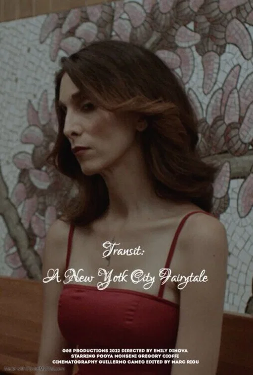 Постер: Transit: A New York City Fairytale