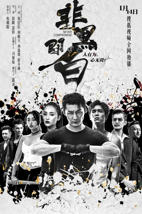 Постер: Fei Hei Ji Bai