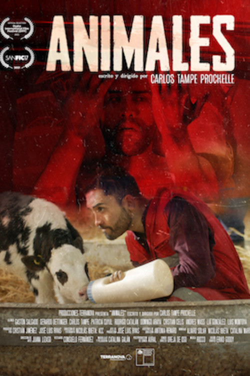 Постер: Animales
