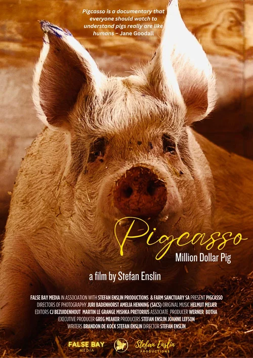 Постер: Pigcasso: Million Dollar Pig