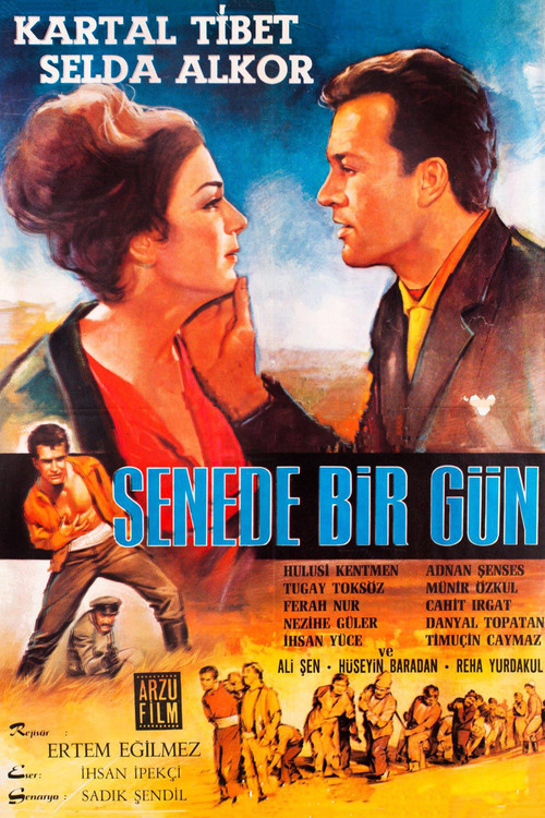 Постер: Senede bir gün