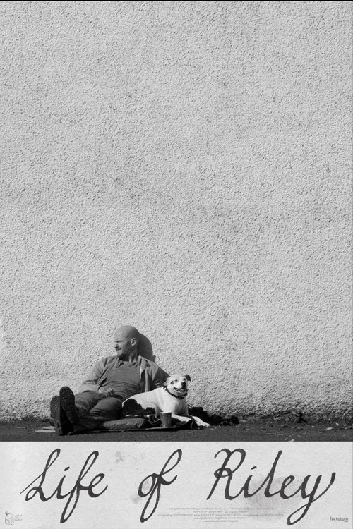Постер: Life of Riley