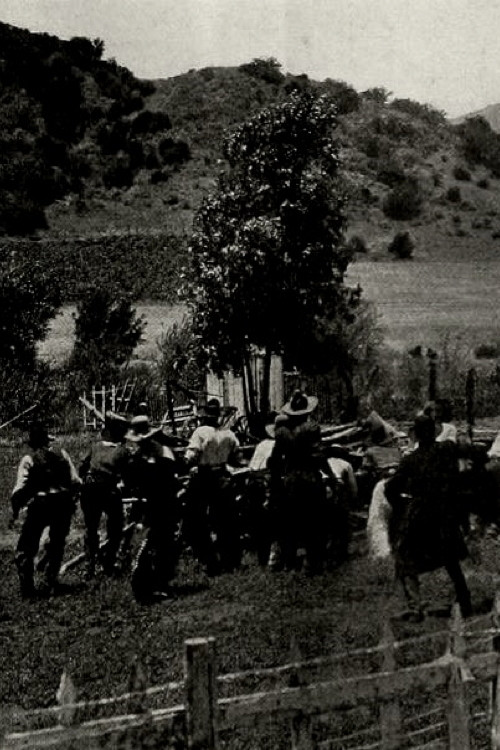 Постер: The Invaders