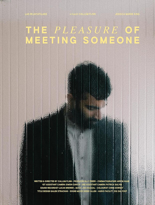 Постер: The Pleasure of Meeting Someone