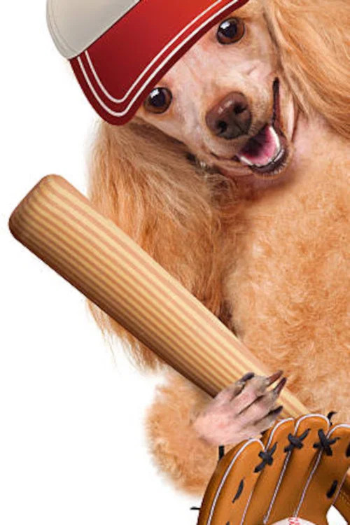 Постер: Hound Dog