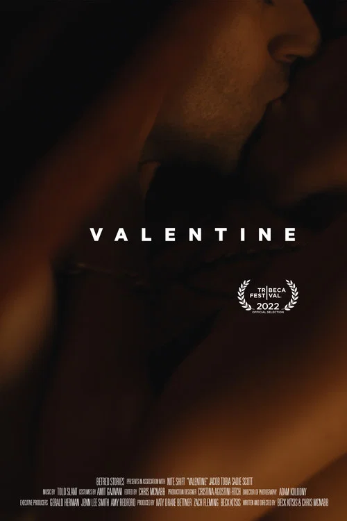 Постер: Valentine