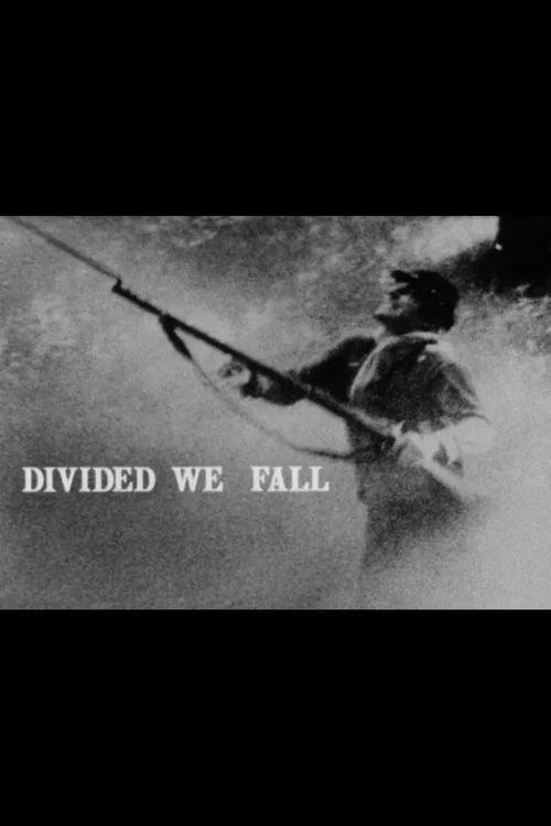 Постер: Divided We Fall
