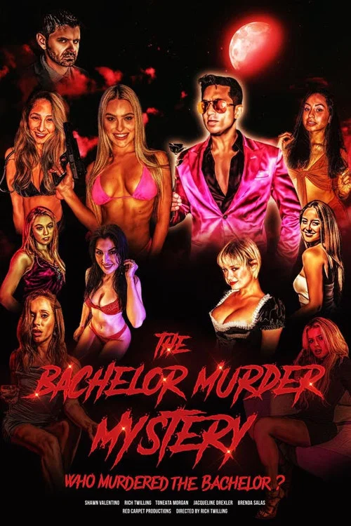 Постер: The Bachelor Murder Mystery