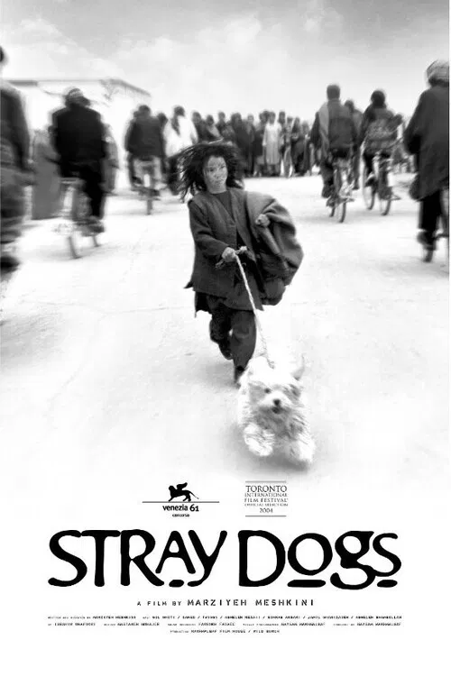 Постер: Stray