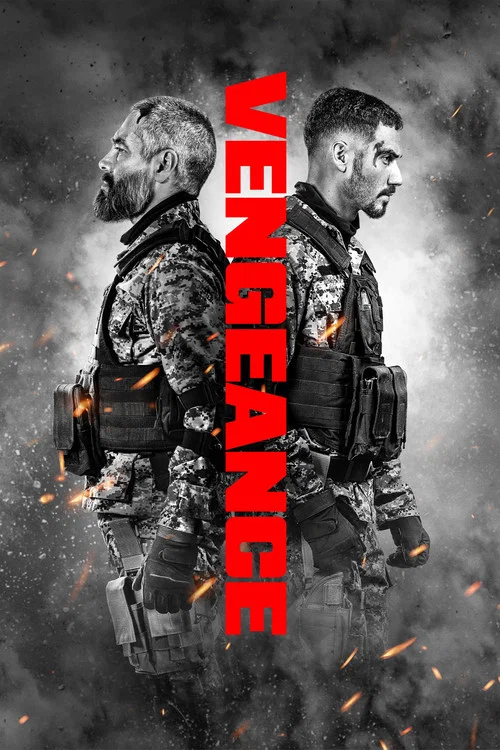 Постер: Vengeance