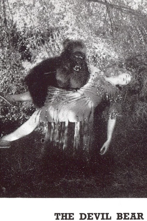Постер: The Devil Bear