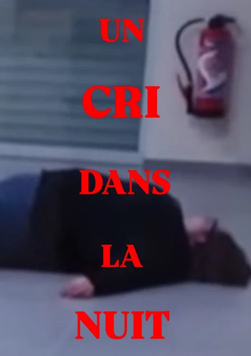 Постер: Un cri dans la nuit