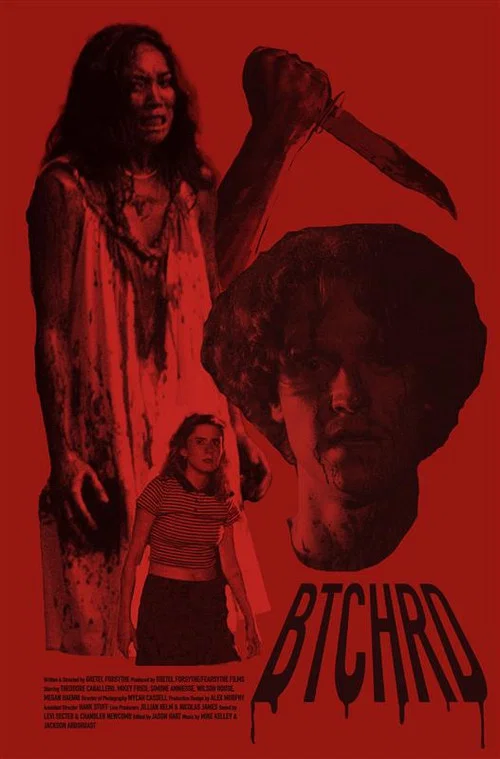 Постер: Butchered