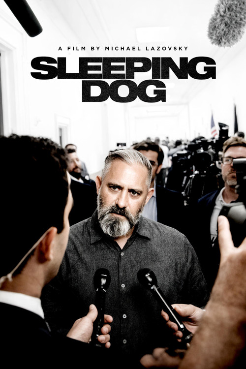Постер: Sleeping Dog