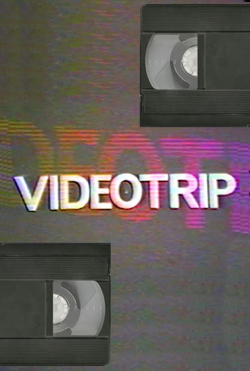 Постер: Videotrip