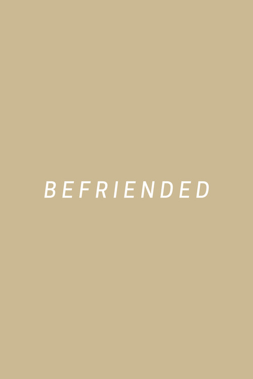 Постер: Befriended