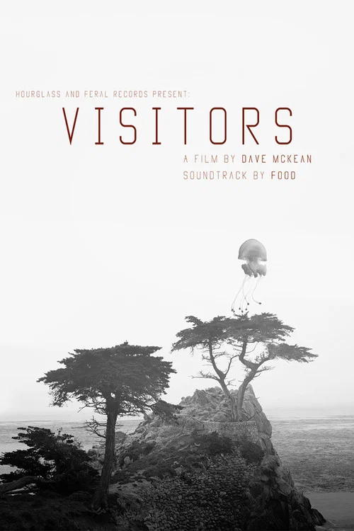 Постер: Visitors