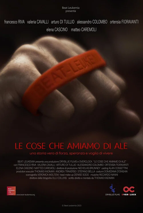 Постер: Le cose che amiamo di Ale