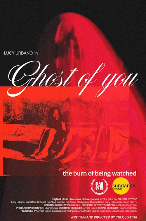 Постер: Ghost of You
