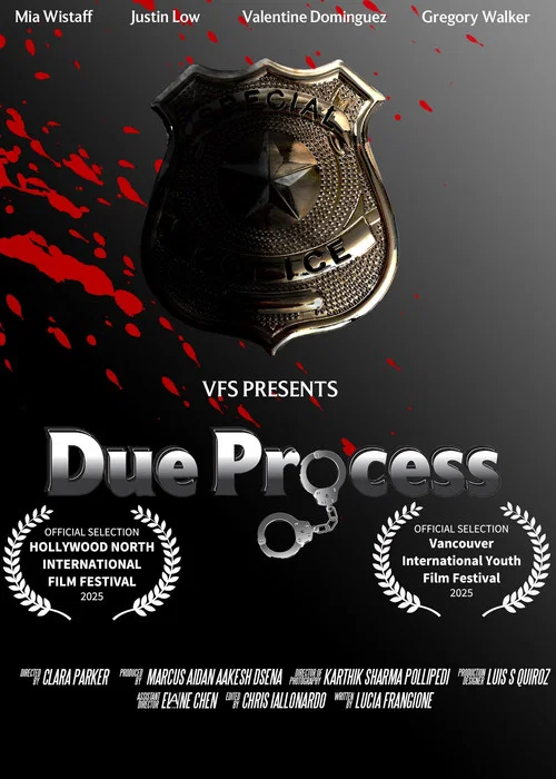 Постер: Due Process