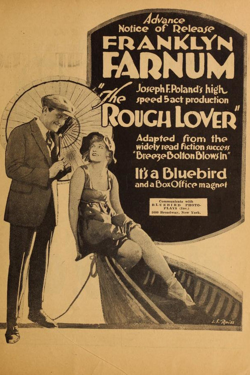 Постер: The Rough Lover