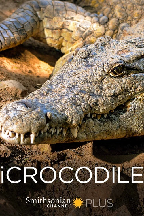 Постер: iCrocodile