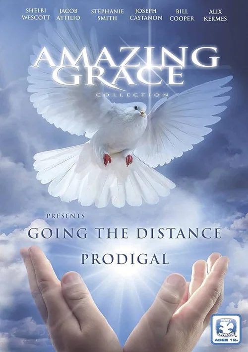 Постер: Going the Distance