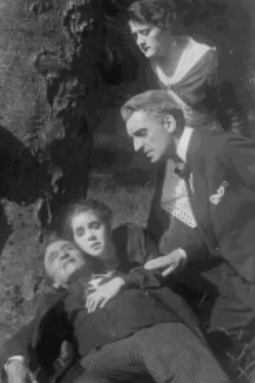 Постер: Pro domo