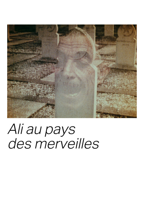 Постер: Ali Au Pays Des Merveilles