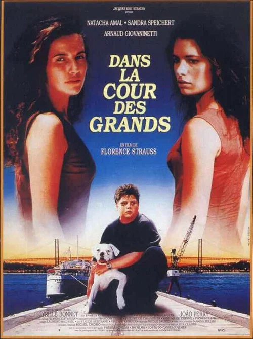 Постер: Dans la cour des grands