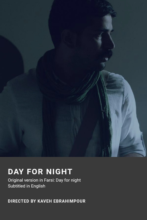 Постер: Day for Night