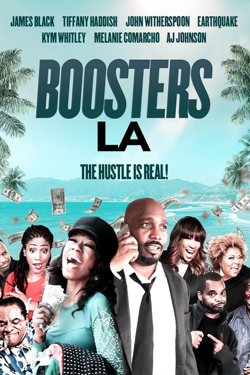 Постер: Boosters LA