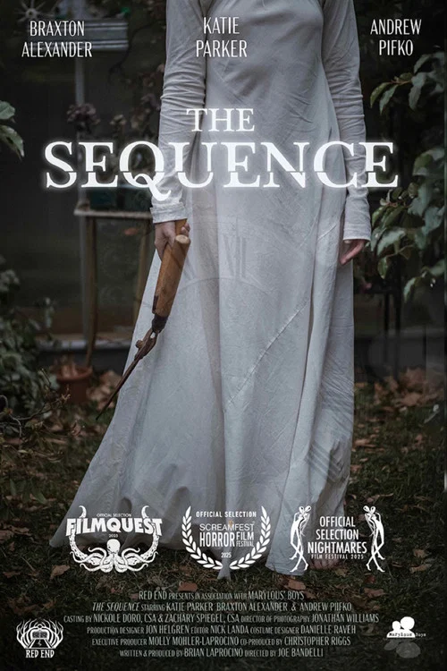 Постер: The Sequence