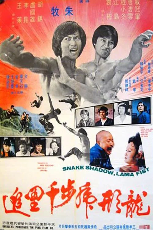 Постер: Long ying hu bu qian li zhui