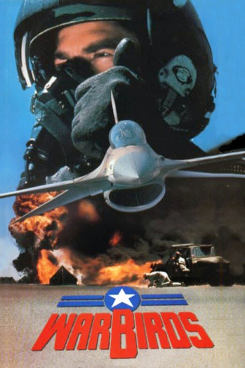 Постер: Warbirds