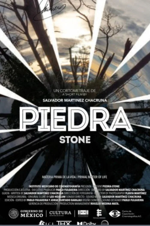 Постер: Piedra