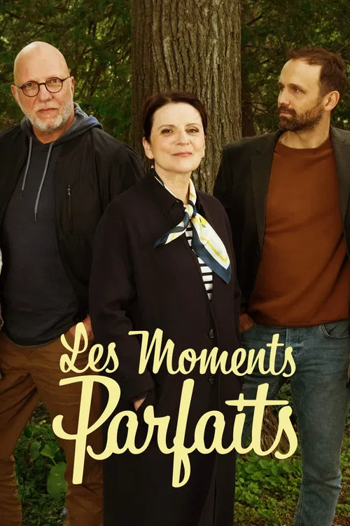 Постер: Les moments parfaits