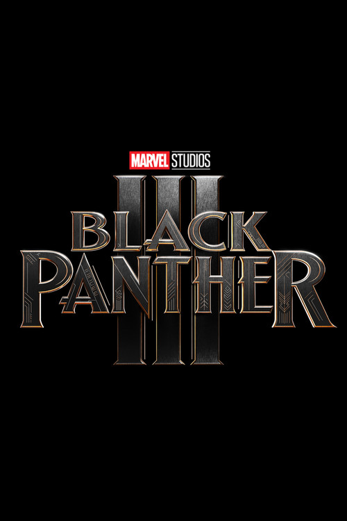 Постер: Black Panther 3
