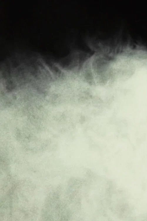 Постер: An Example of Lee-Roth Fog, Isolated Under Laboratory Conditions