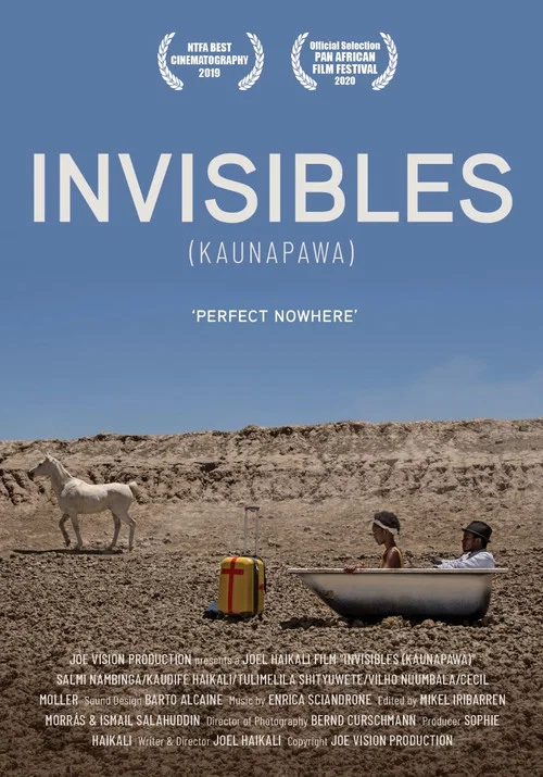 Постер: Invisibles