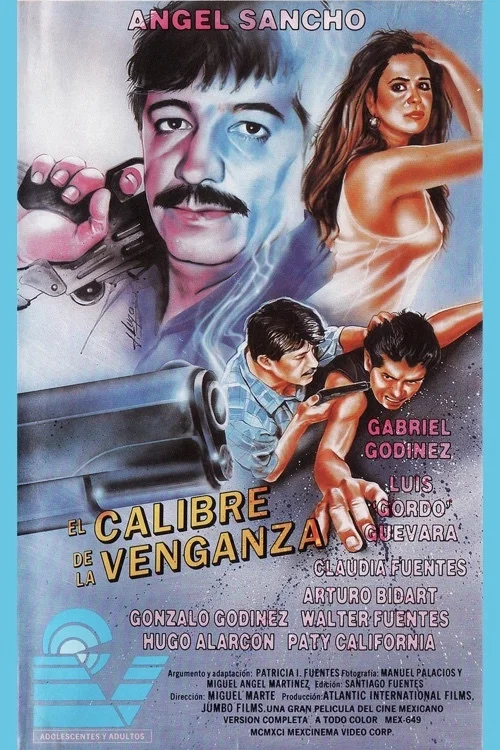 Постер: El calibre de la venganza