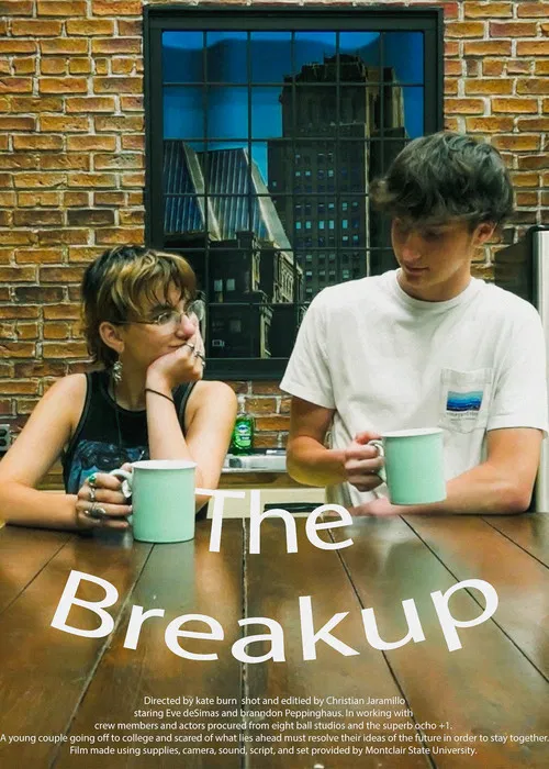 Постер: The Breakup