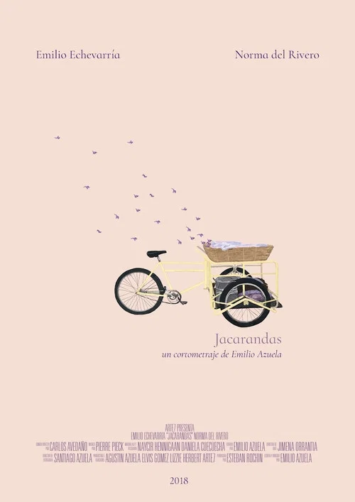 Постер: Jacarandas