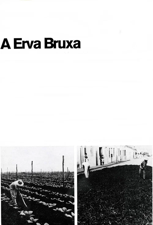 Постер: A Erva Bruxa