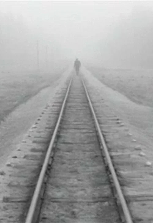 Постер: A Trip Across Misty Meadows