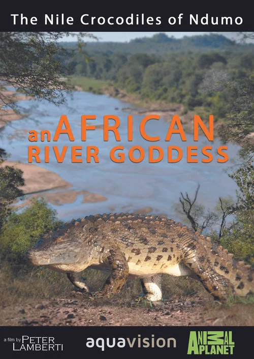 Постер: African River Goddess