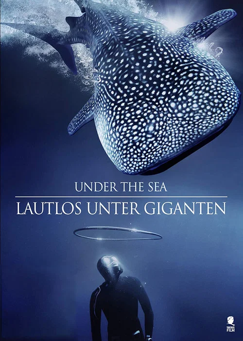 Постер: Lautlo