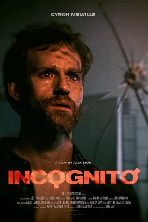 Постер: Incognito
