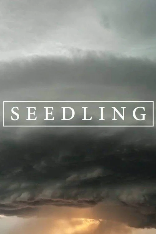 Постер: Seedling